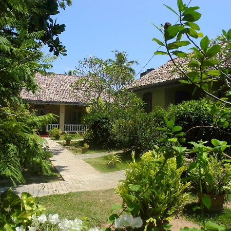 Top Of The Hill Guesthouse 웰리가마 외부 사진