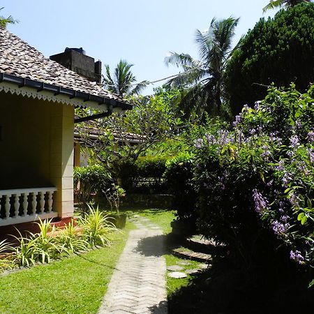 Top Of The Hill Guesthouse 웰리가마 외부 사진